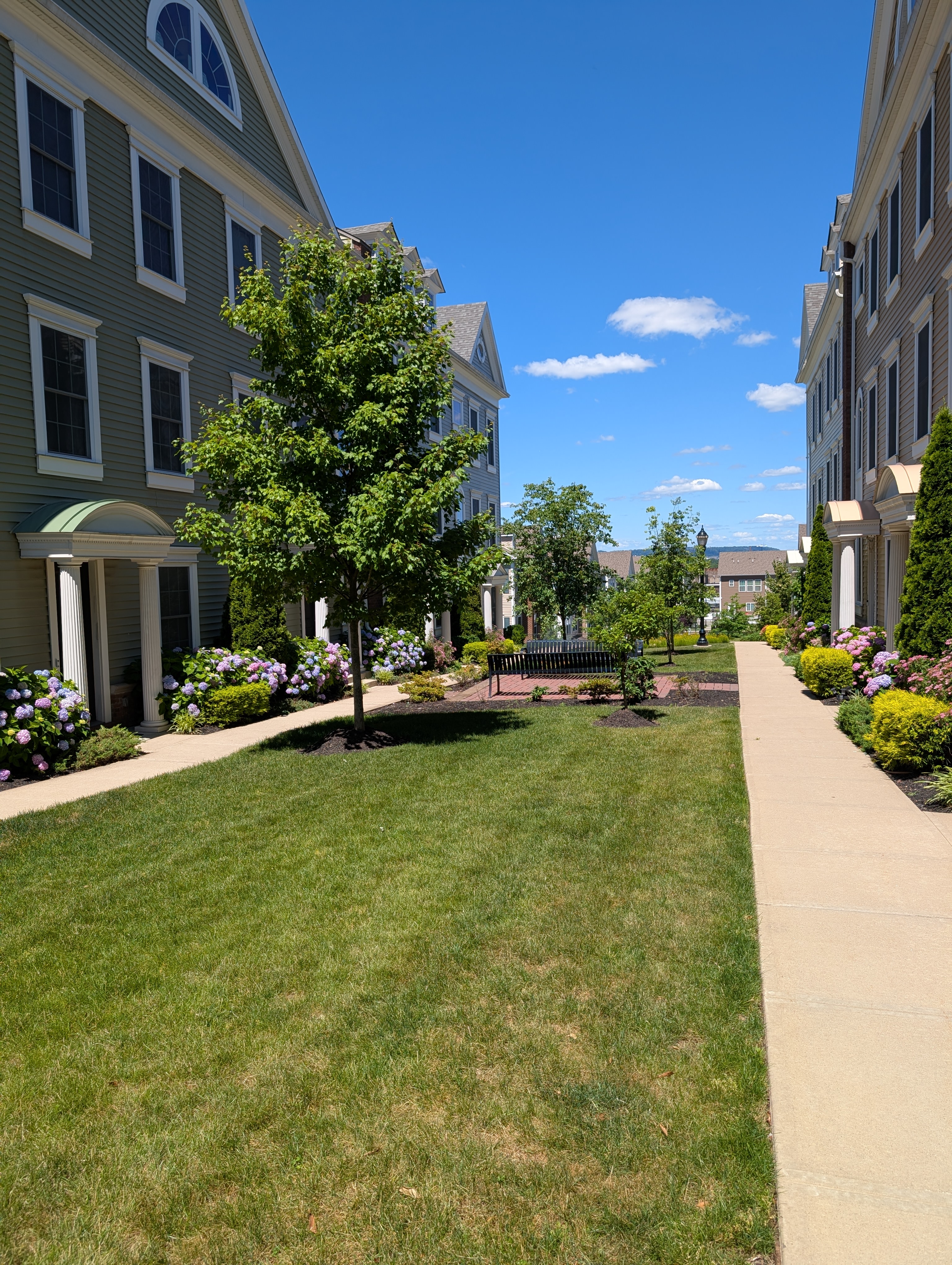 Community tree-lined walkway